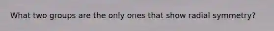 What two groups are the only ones that show radial symmetry?