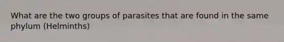 What are the two groups of parasites that are found in the same phylum (Helminths)