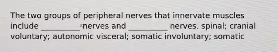 The two groups of peripheral nerves that innervate muscles include __________ nerves and __________ nerves. spinal; cranial voluntary; autonomic visceral; somatic involuntary; somatic