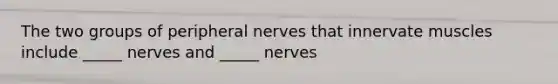 The two groups of peripheral nerves that innervate muscles include _____ nerves and _____ nerves