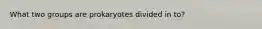 What two groups are prokaryotes divided in to?