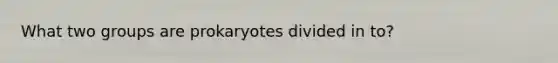 What two groups are prokaryotes divided in to?