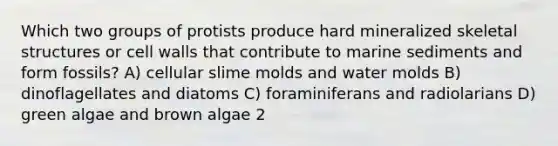 Which two groups of protists produce hard mineralized skeletal structures or cell walls that contribute to marine sediments and form fossils? A) cellular <a href='https://www.questionai.com/knowledge/kHvmUbfxIK-slime-molds' class='anchor-knowledge'>slime molds</a> and <a href='https://www.questionai.com/knowledge/kIFNBmzf0u-water-molds' class='anchor-knowledge'>water molds</a> B) dinoflagellates and diatoms C) foraminiferans and radiolarians D) green algae and brown algae 2