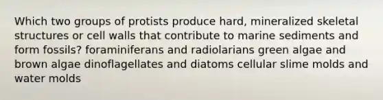 Which two groups of protists produce hard, mineralized skeletal structures or cell walls that contribute to marine sediments and form fossils? foraminiferans and radiolarians green algae and brown algae dinoflagellates and diatoms cellular slime molds and water molds