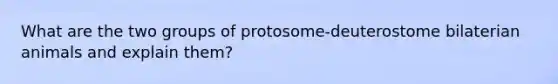 What are the two groups of protosome-deuterostome bilaterian animals and explain them?