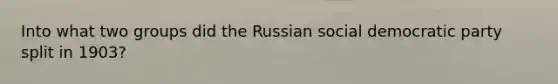 Into what two groups did the Russian social democratic party split in 1903?