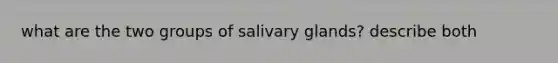 what are the two groups of salivary glands? describe both