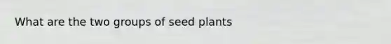 What are the two groups of seed plants