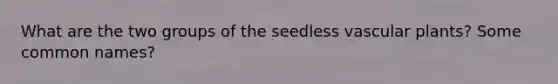 What are the two groups of the seedless <a href='https://www.questionai.com/knowledge/kbaUXKuBoK-vascular-plants' class='anchor-knowledge'>vascular plants</a>? Some common names?