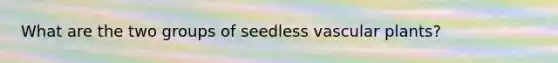 What are the two groups of seedless vascular plants?