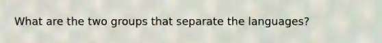 What are the two groups that separate the languages?