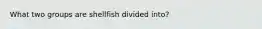 What two groups are shellfish divided into?