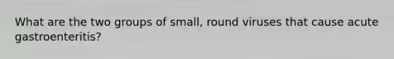 What are the two groups of small, round viruses that cause acute gastroenteritis?