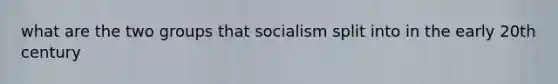 what are the two groups that socialism split into in the early 20th century