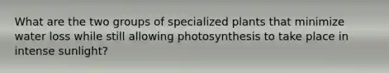 What are the two groups of specialized plants that minimize water loss while still allowing photosynthesis to take place in intense sunlight?