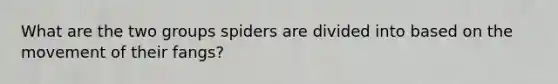 What are the two groups spiders are divided into based on the movement of their fangs?