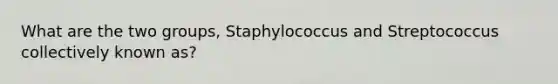 What are the two groups, Staphylococcus and Streptococcus collectively known as?