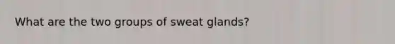 What are the two groups of sweat glands?