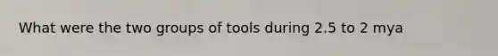 What were the two groups of tools during 2.5 to 2 mya