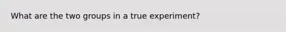 What are the two groups in a true experiment?