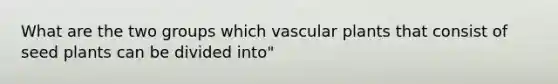 What are the two groups which vascular plants that consist of seed plants can be divided into"