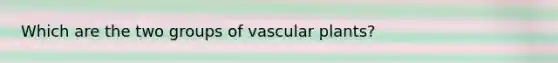 Which are the two groups of vascular plants?