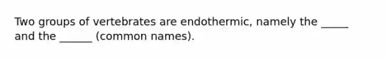 Two groups of vertebrates are endothermic, namely the _____ and the ______ (common names).