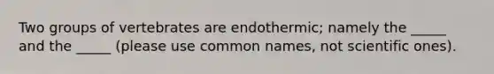 Two groups of vertebrates are endothermic; namely the _____ and the _____ (please use common names, not scientific ones).