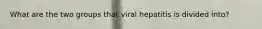 What are the two groups that viral hepatitis is divided into?