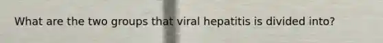 What are the two groups that viral hepatitis is divided into?