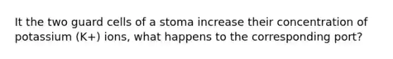 It the two guard cells of a stoma increase their concentration of potassium (K+) ions, what happens to the corresponding port?