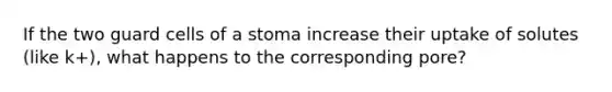 If the two guard cells of a stoma increase their uptake of solutes (like k+), what happens to the corresponding pore?