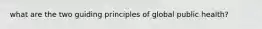 what are the two guiding principles of global public health?