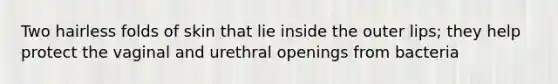 Two hairless folds of skin that lie inside the outer lips; they help protect the vaginal and urethral openings from bacteria
