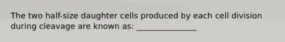 The two half-size daughter cells produced by each cell division during cleavage are known as: _______________