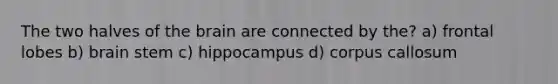The two halves of the brain are connected by the? a) frontal lobes b) brain stem c) hippocampus d) corpus callosum