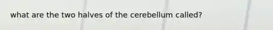 what are the two halves of the cerebellum called?