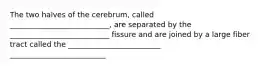 The two halves of the cerebrum, called ___________________________, are separated by the ___________________________ fissure and are joined by a large fiber tract called the _________________________ __________________________