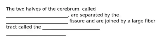 The two halves of the cerebrum, called ___________________________, are separated by the ___________________________ fissure and are joined by a large fiber tract called the _________________________ __________________________