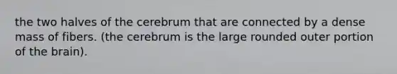 the two halves of the cerebrum that are connected by a dense mass of fibers. (the cerebrum is the large rounded outer portion of the brain).