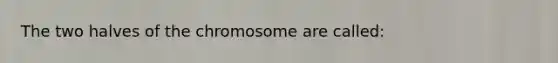 The two halves of the chromosome are called: