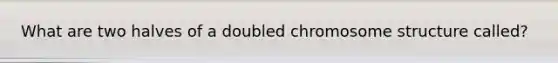 What are two halves of a doubled chromosome structure called?