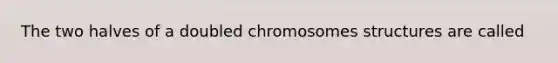 The two halves of a doubled chromosomes structures are called