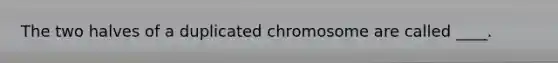 The two halves of a duplicated chromosome are called ____.