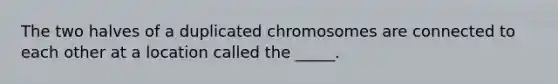 The two halves of a duplicated chromosomes are connected to each other at a location called the _____.