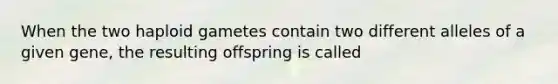 When the two haploid gametes contain two different alleles of a given gene, the resulting offspring is called