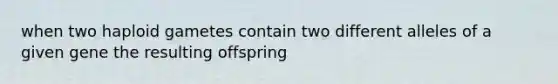 when two haploid gametes contain two different alleles of a given gene the resulting offspring