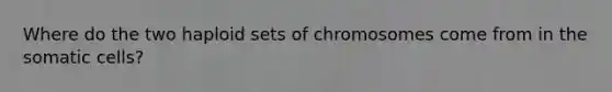 Where do the two haploid sets of chromosomes come from in the somatic cells?