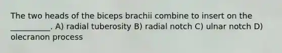 The two heads of the biceps brachii combine to insert on the __________. A) radial tuberosity B) radial notch C) ulnar notch D) olecranon process