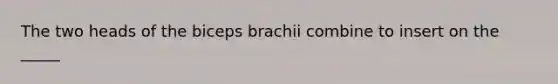 The two heads of the biceps brachii combine to insert on the _____